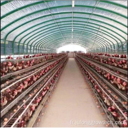 Greenhouse de volaille à une seule portée pour la ferme de poulet